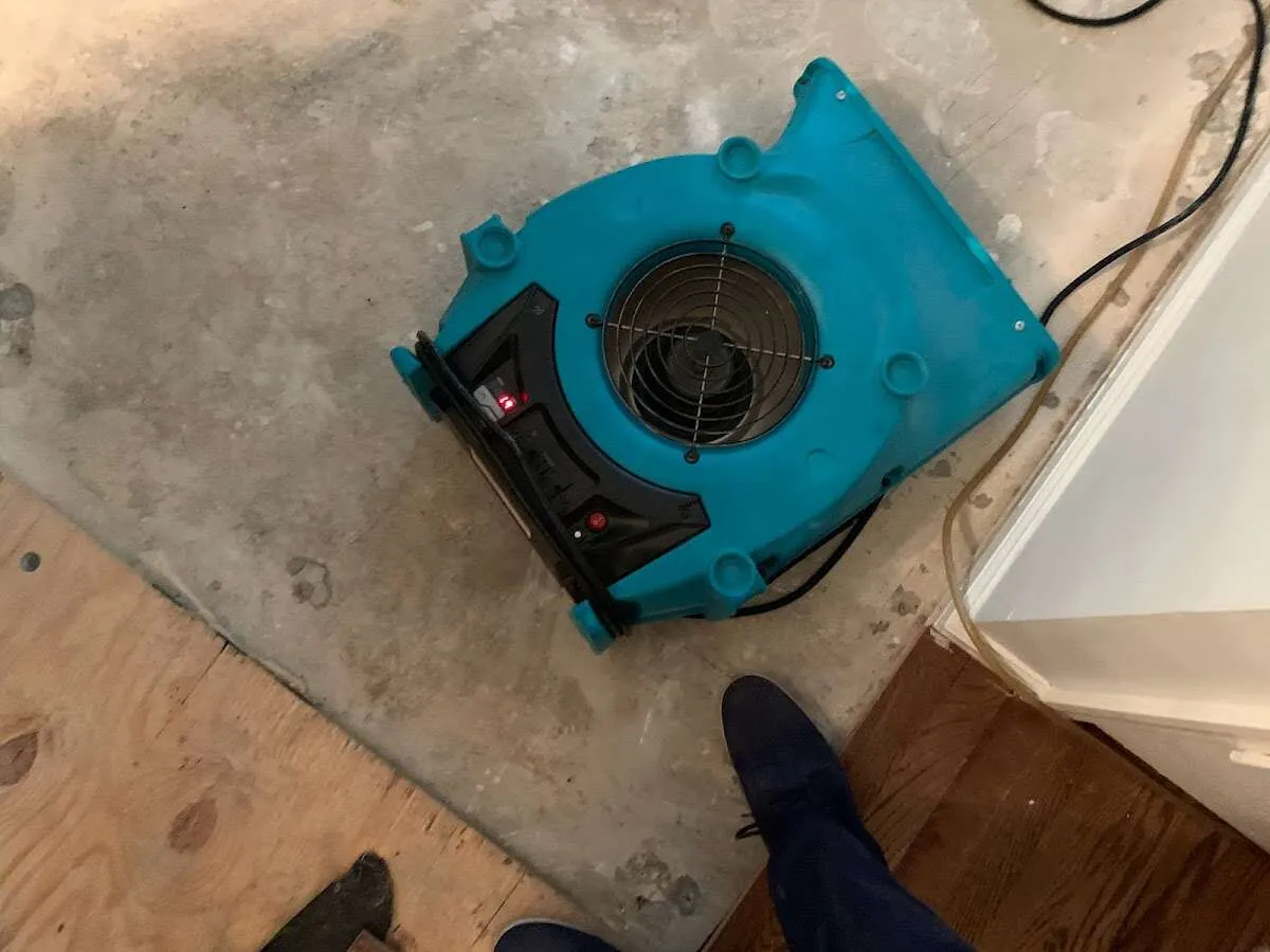 Air mover drying subfloor during Commercial Water Damage Restoration in Marlborough